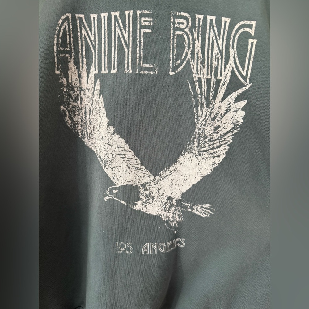 Anine Bing - Ash Hoodie Eagle - Faded Emerald Green - Picture 9 of 13